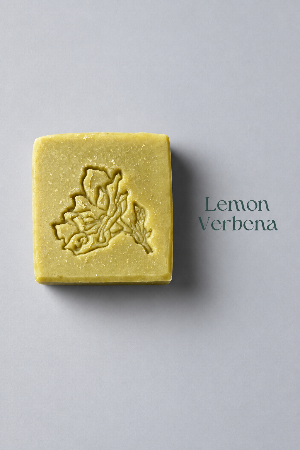Daydream Believer - Tallow Soap with Spirulina - 5.5 oz *Limited Edition