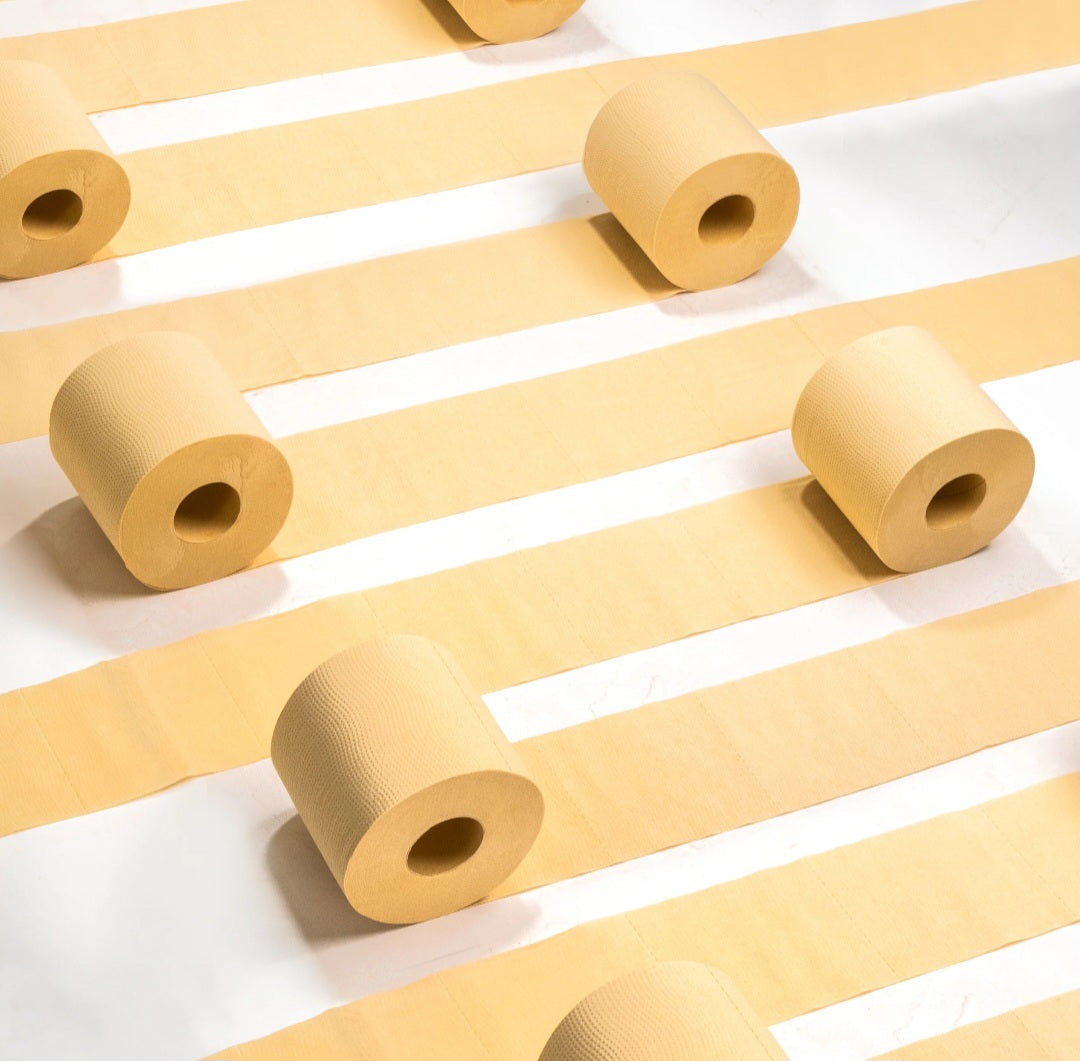 Bamboo Toilet Paper - 8 rolls - Unbleached, Non-Toxic